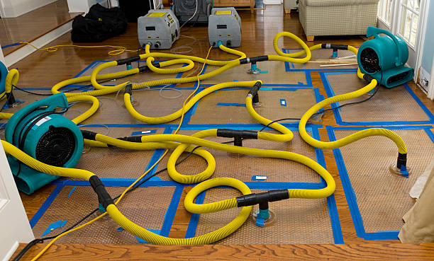 Professional Flood Damage Restoration technician working in College Point, NY